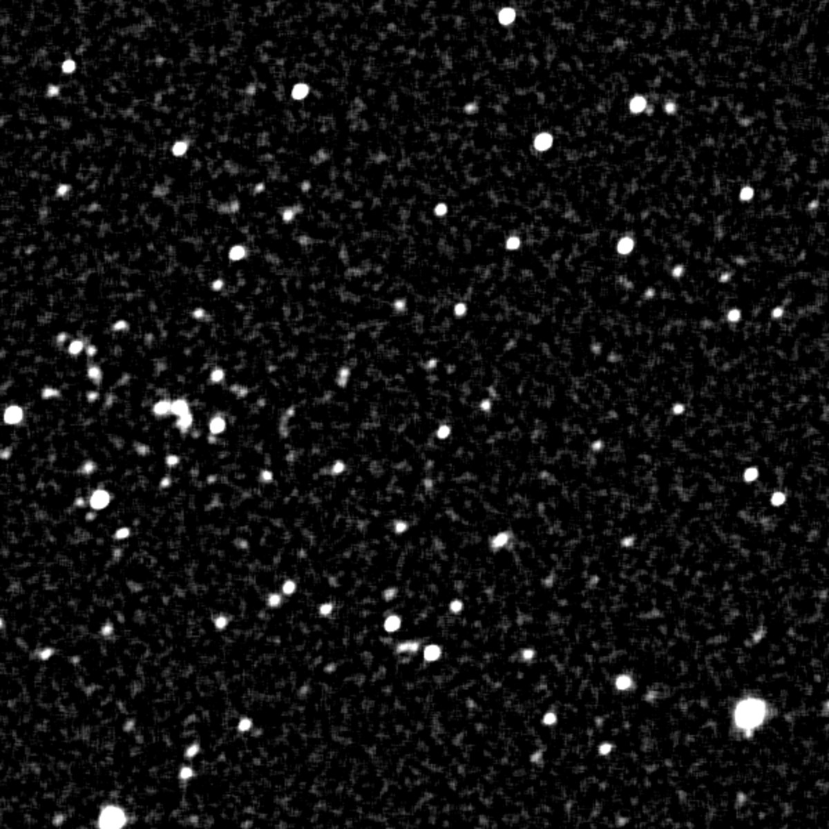 GIF geanimeerd beeld van witte punten waarin men vier asteroïden kan zien bewegen. De asteroïden zijn geannoteerd (van boven naar beneden, van links naar rechts): TP0212, TP0214 (385205) Michelvancamp, TP0211, TP0213.