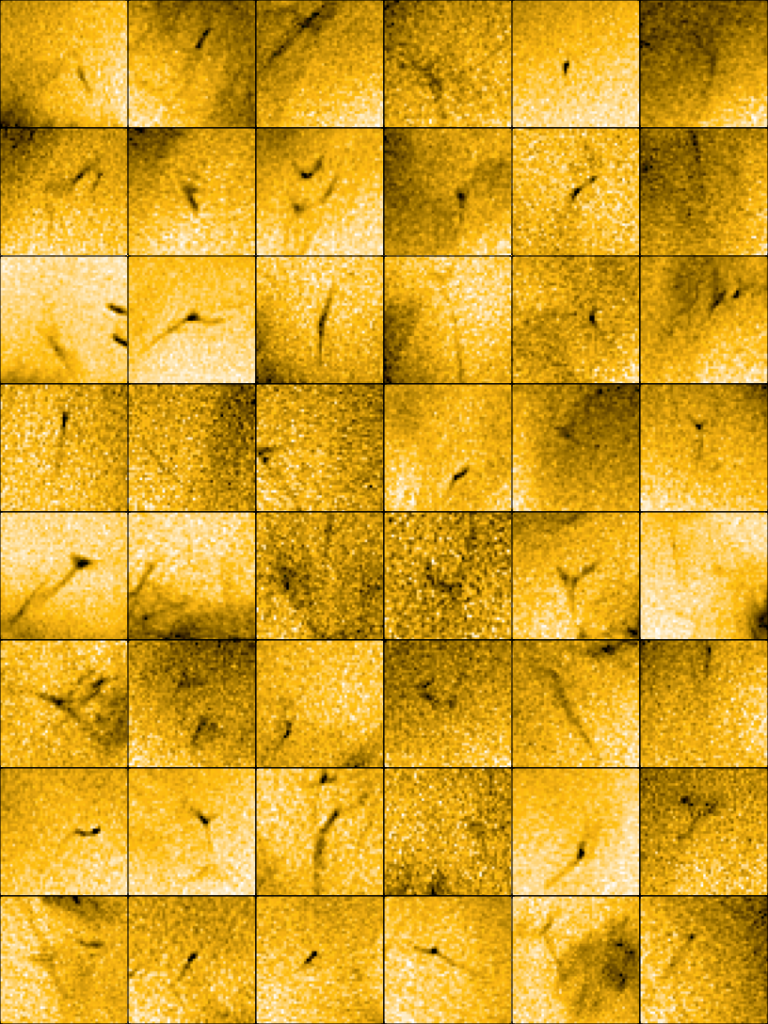 This mosaic of images shows a multitude of tiny jets of material escaping from the Sun’s outer atmosphere. The images come from the EUI telescope onboard ESA’s Solar Orbiter spacecraft. They show up as dark streaks across the solar surface in this mosaic. The images are ‘negatives’ meaning that although the jets are displayed as dark, there are really bright flashes against the solar surface. Each jet lasts for between 20 and 100 seconds, and expels charged particles, known as plasma, at around 100 km/s. These events could be the long-sought-after source of the ‘solar wind’, the constant outflow of charged particles that comes from the Sun and flows through the Solar System. 