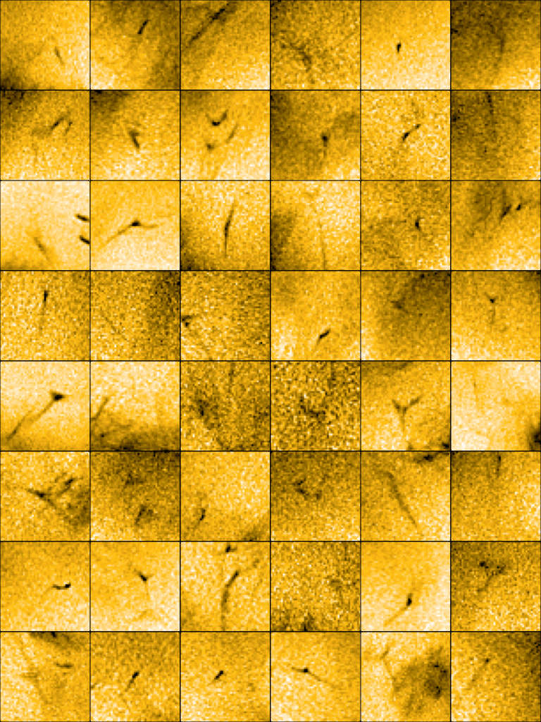 Deze mozaïek van beelden toont een groot aantal kleine jets van materiaal dat ontsnapt uit de buitenste atmosfeer van de zon. De beelden zijn afkomstig van de EUI-telescoop aan boord van ESA's Solar Orbiter ruimtesonde. In deze mozaïek zijn ze te zien als donkere strepen over het zonneoppervlak. De foto's zijn 'negatief', wat betekent dat hoewel de jets donker worden weergegeven, ze in werkelijkheid als heldere flitsen tegen het zonneoppervlak te zien zijn. Elke jet duurt tussen de 20 en 100 seconden en stoot geladen deeltjes uit, ook wel plasma genoemd, met een snelheid van ongeveer 100 km per seconde. Deze jets zouden de lang gezochte bron kunnen zijn van de 'zonnewind', de constante uitstroom van geladen deeltjes die van de zon komt en door het hele zonnestelsel stroomt.