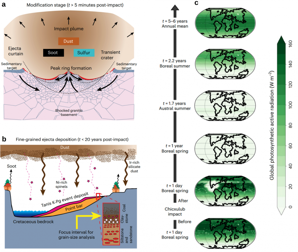 Conceptual model of the Chicxulub impact plume showing different stages of (a) production, and (b) transport and deposition of the impact-generated ejecta (not to scale). (c) Paleoclimate model simulations showcasing the time evolution of the dust-induced photosynthetic active radiation flux across the planet following the Chicxulub impact 66 million years ago (modified from Senel et al., 2023; Nature Geoscience).