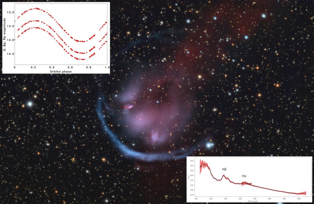 Planetary nebula Heckathorn-Fesen-Gull 1 observed from Earth. Gaia observed the blue star V664 Cas at its center over a hundred times in 2014-2017. This close binary shows very regular brightness changes (top left inset panel) due to a bright surface spot. The bottom right panel shows bright lines of hydrogen gas in the Gaia spectrum, classifying it as an ‘emission’ line star. Image credits: Peter Goodhew - Inset graphics: ESA/Gaia/DPAC.