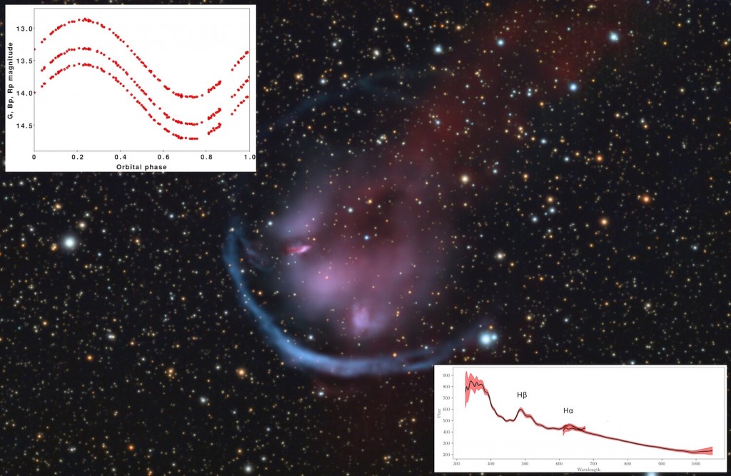 Planetaire nevel Heckathorn-Fesen-Gull 1 waargenomen vanaf de aarde. Gaia heeft de blauwe ster V664 Cas in het centrum meer dan honderd keer waargenomen in 2014-2017. Deze nauwe dubbelster vertoont zeer regelmatige helderheidsveranderingen (inzetpaneel linksboven) als gevolg van een heldere oppervlaktevlek. Het paneel rechtsonder toont heldere lijnen van waterstofgas in het Gaia-spectrum, waardoor de ster wordt geclassificeerd als een ster met 'emissielijnen'. Beeldcredits: Peter Goodhew - Inzet afbeeldingen: ESA/Gaia/DPAC.